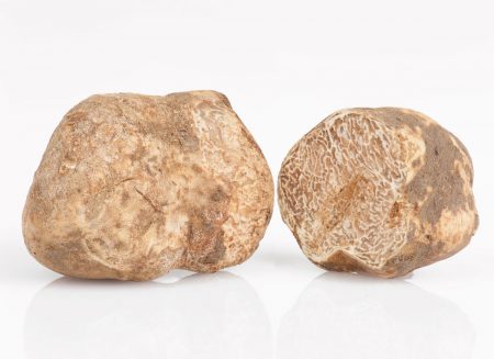 tartufo bianco fresco italiano varietà