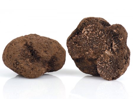 tartufo nero pregiato fresco italiano varietà