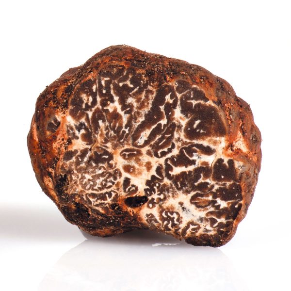 truffe blanche fraîche