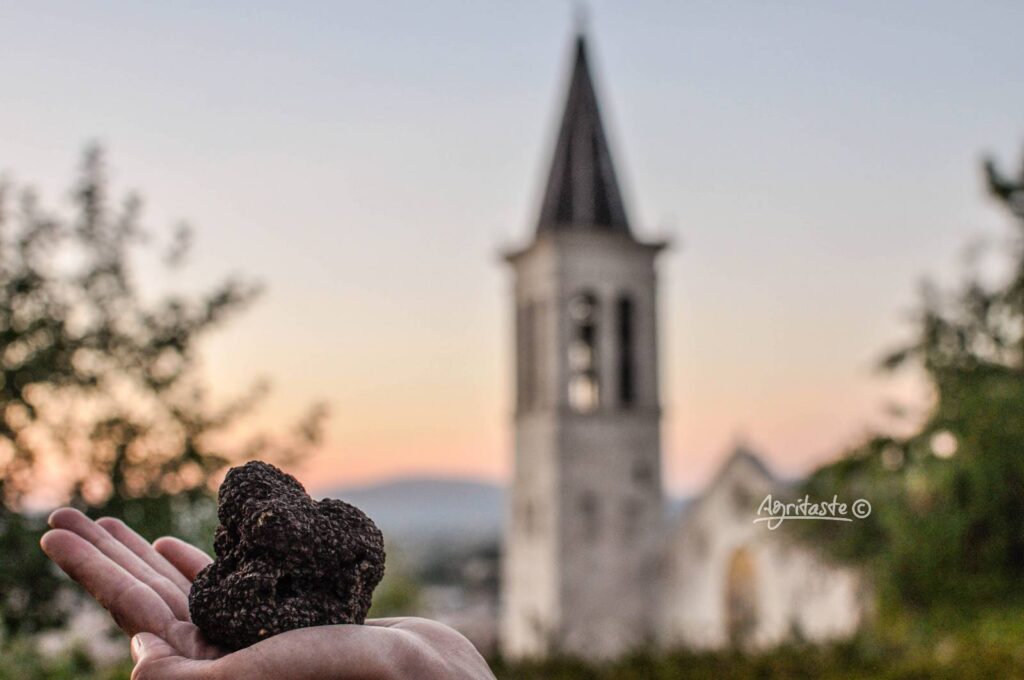 summer truffle spoleto