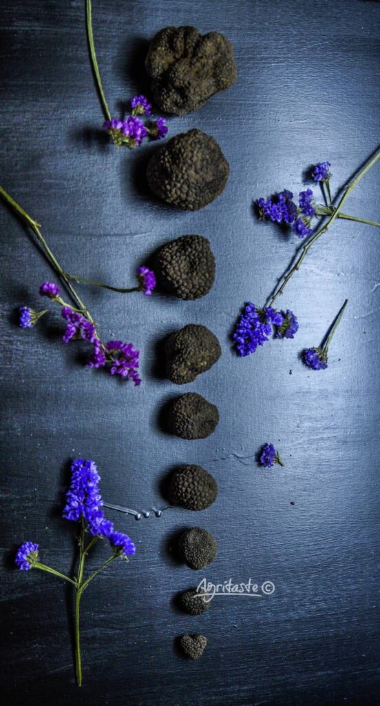 spring truffle