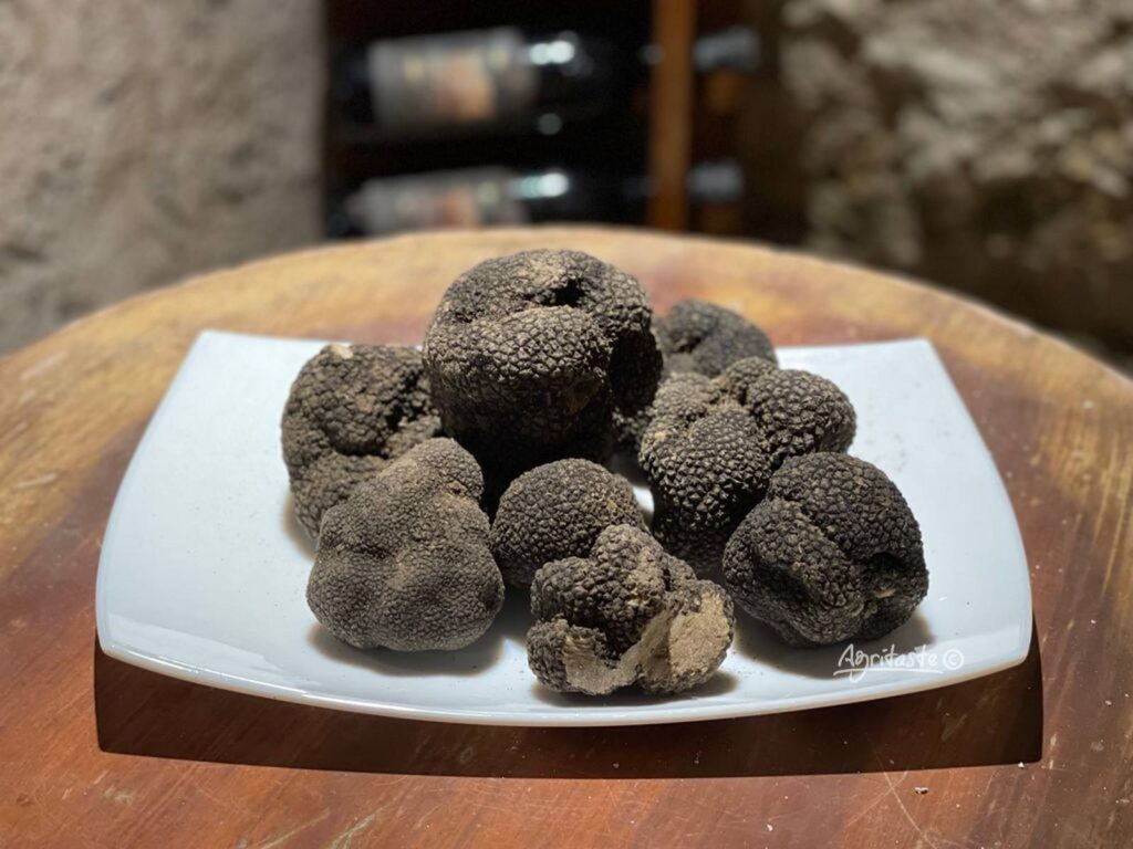 type of truffle