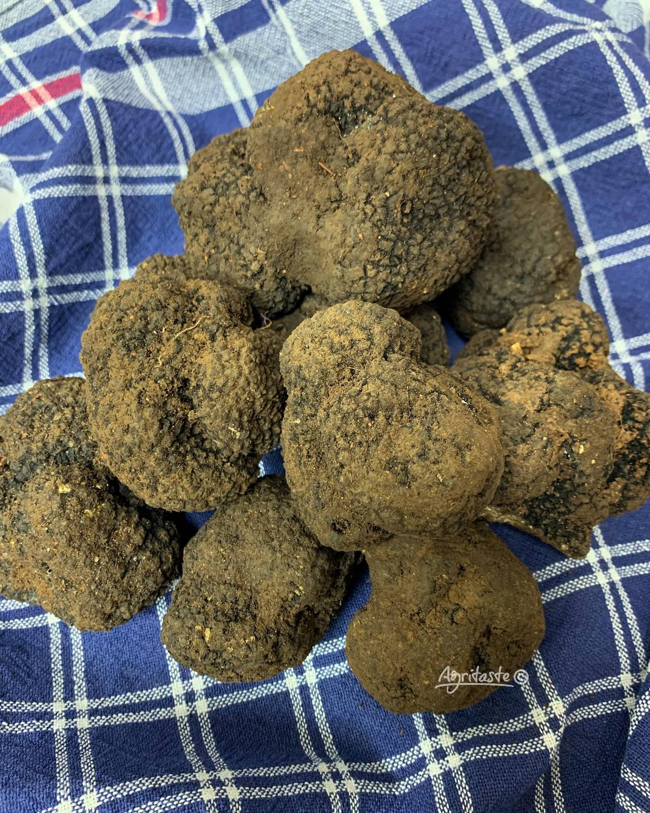 black truffle price