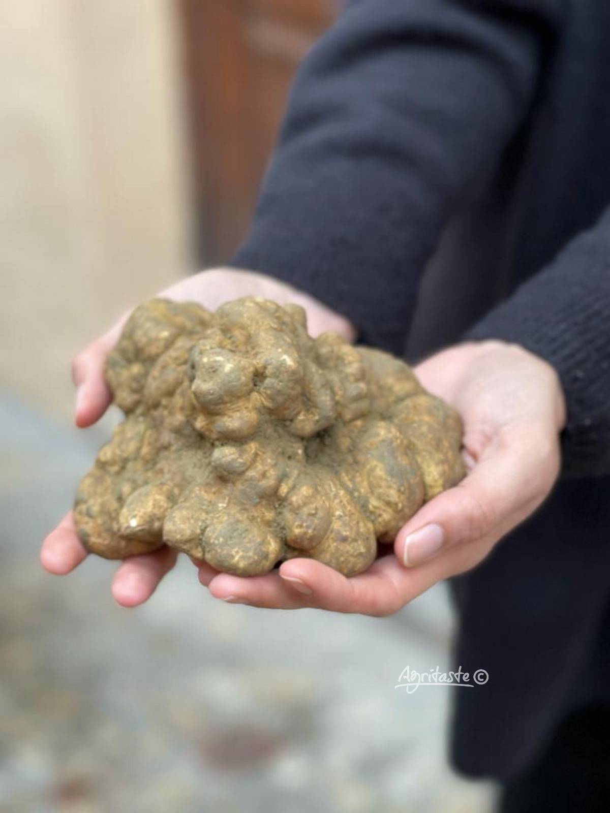truffe blanche extra
